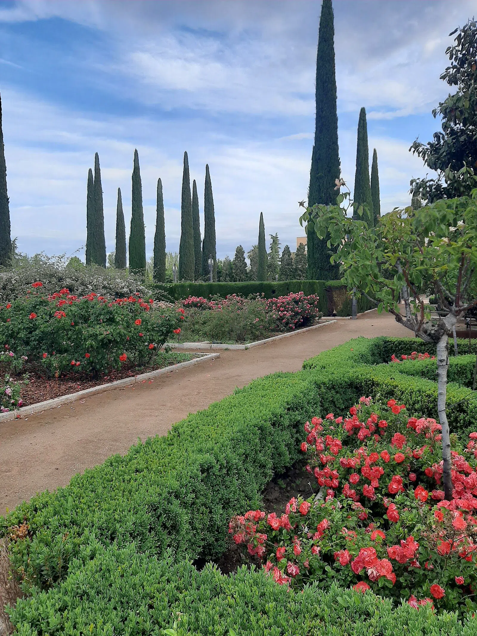 Camino de Ronda, the avenue Granada lives on