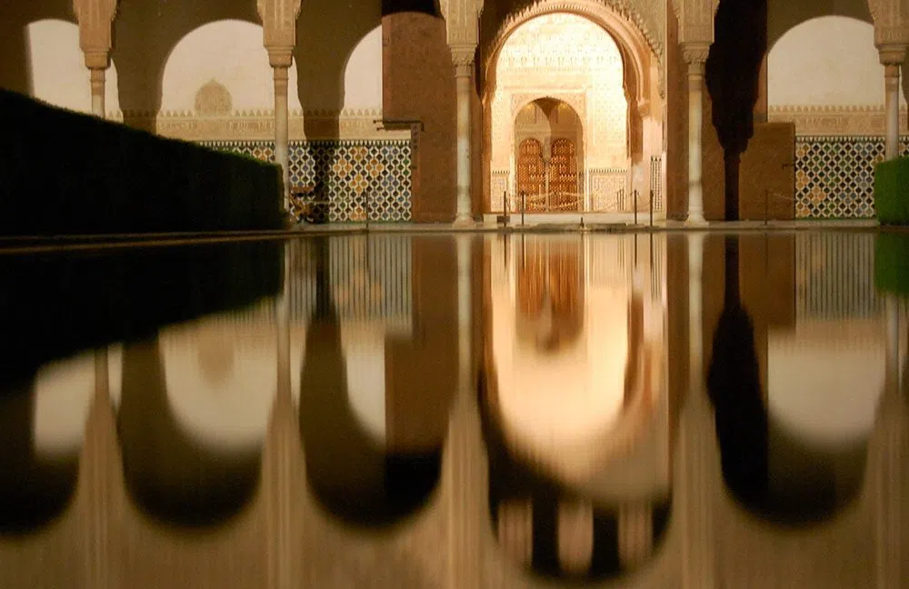 Cicerone Granada – Tour Notturno dell'Alhambra e dei Palazzi Nasridi, Granada